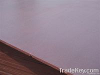 Anti-skid Film Faced Plywood