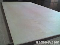 birch face and back plywood