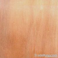 okoume face and back plywood