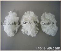 15d*64mm Polyester Staple Fiber