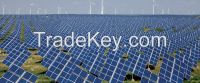 Ecological Solar Plants