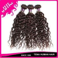 Tena Unique And Fashion Brazilian Curly Remy Human Hair Weft