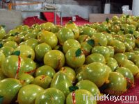 Pinghe Golden Honey Pomelo