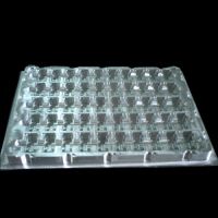 Plastic Tray Mold