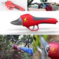 KOHAM KH Series Model MA Pruning