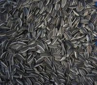 Sunflower Seeds Color Sorter