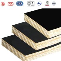 1220*2440mm Wbp Construction Template