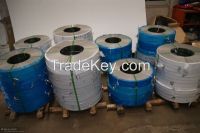 Stainess Steel Strip