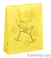 Promotional Gift Paper Bag