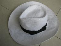Cowboy hat