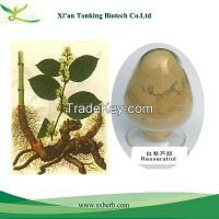 Natural polygonum cuspidatum extract trans-resveratrol 50%, 98%