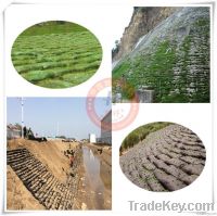 geotextile planting grow bags