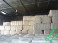 High Quality Raw Cotton