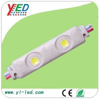 12V 0.3W waterproof  injection LED module 2 LEDs  