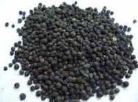 https://cn.tradekey.com/product_view/Black-Pepper-Seeds-7092543.html