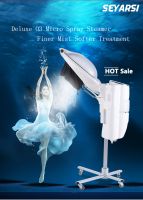 O3 Hair Steamer H...