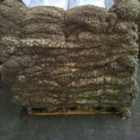 Wet Salted Lamb Skins From South Africa