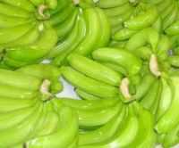 Green Cavendish Banana From South Africa