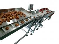 seafood / abalone/ oyester/sea cucumber  weighing  sorting machine