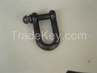 JIS D SHACKLE From China
