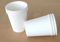 Paper Cup