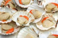 Atlantic sea scallops