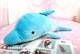 Dolphin Plush Toys