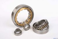 Cylindrical roller bearings