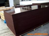 EXPORT FILM FACED PLYWOOD