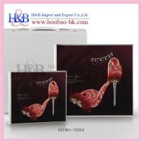 Perfessional Lady Album Digital Wedding Photo