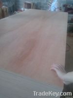Bintangor face plywood