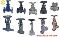 Forged steel Gate Globe Check valve