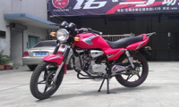 High Quality Competitive Price ZONGSHEN Engine