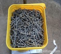 common nails