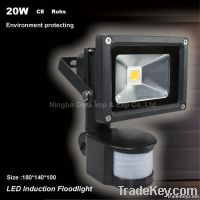 20W Waterproof Portable LED Induction Floodlight