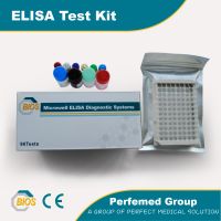 Enzyme Immunoassay T4 ELISA kit