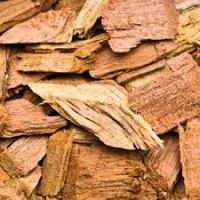 Wood chips for sale 