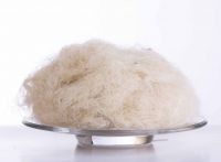 Pineapple Fibre