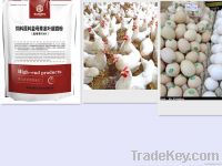 motherwort extract soluble powder