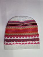 2014 Brand New Style Polyester winter hat 4 Colors For Men And Women 