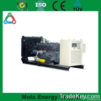 500W-200KW Biogas Generator