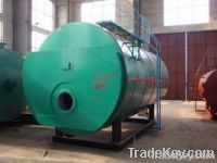 Oil/gas fired boiler