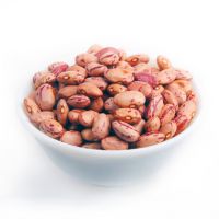 2017new Crop Light Speckled Kidney Beans