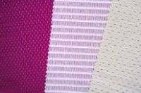 Underwear Jacquard Fabric