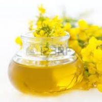 Rapeseed Oil