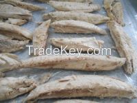 FROZEN PRE-COOED SKIPJACK AND YF