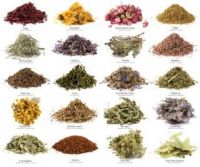 organic Herbs medical herbs herbal tea dry herbs