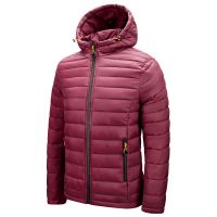 Custom fur jackets for men winter outdoor down jacket windproof winter puffer jacket men From Pakistan