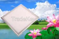 LED panel light 600x600x12MM 36W