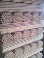 wooden handles for broom and brushes From Serbia